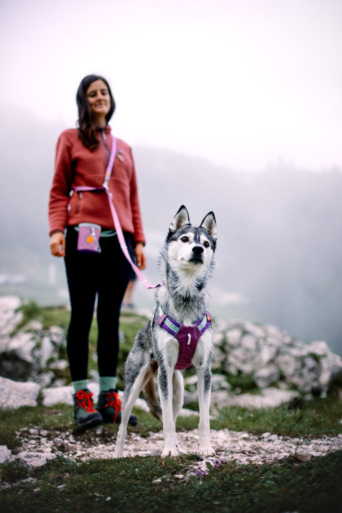 Woman standing outdoors holding a leash with a dog in a harness; misty mountains in the background.