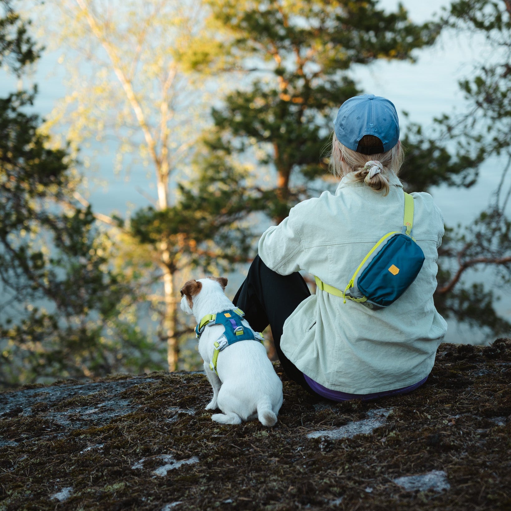 Person with a blue cap and small dog sitting on a hilltop, overlooking trees and a body of water.