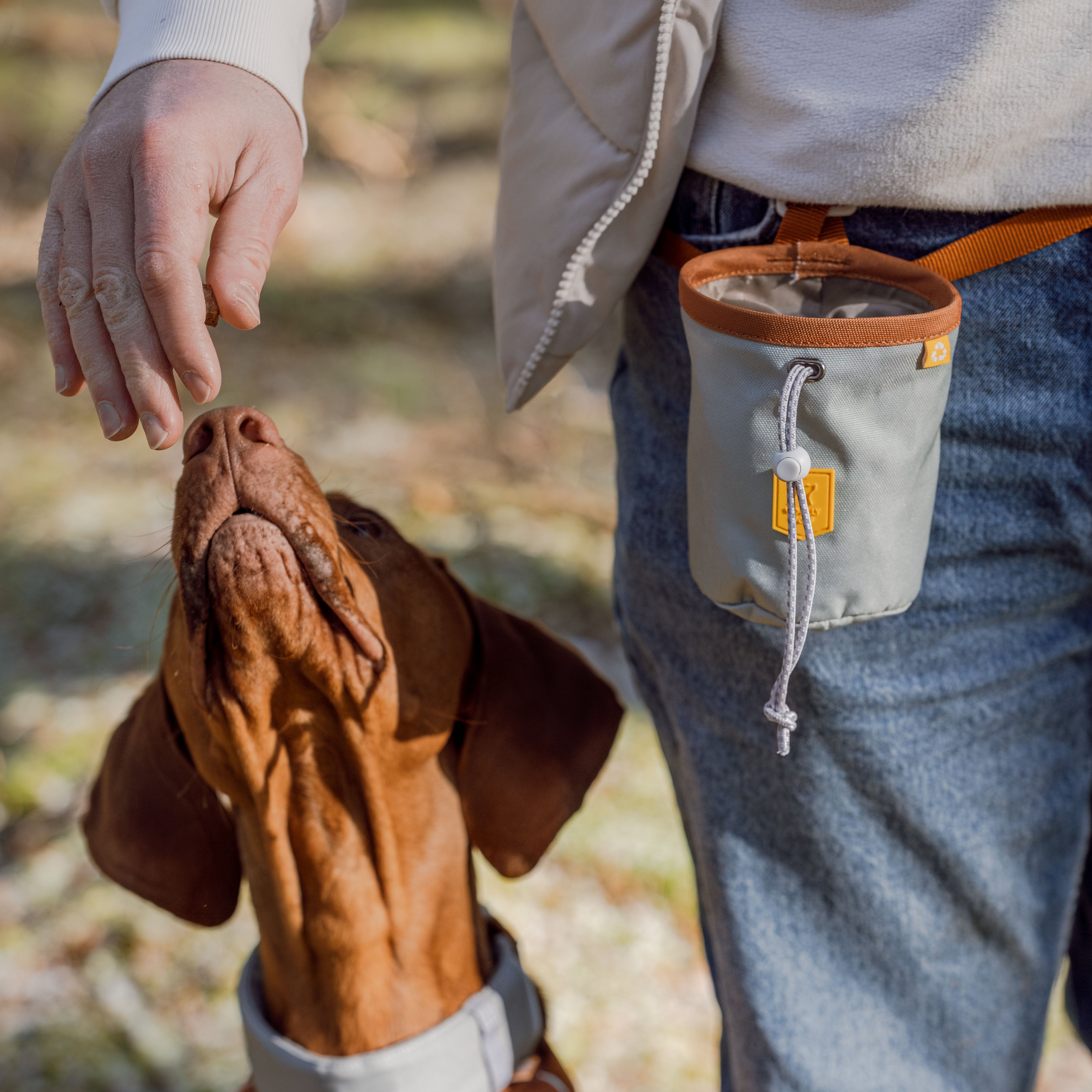 Person gives a treat to a brown dog outdoors; treat pouch hangs from the persons belt.