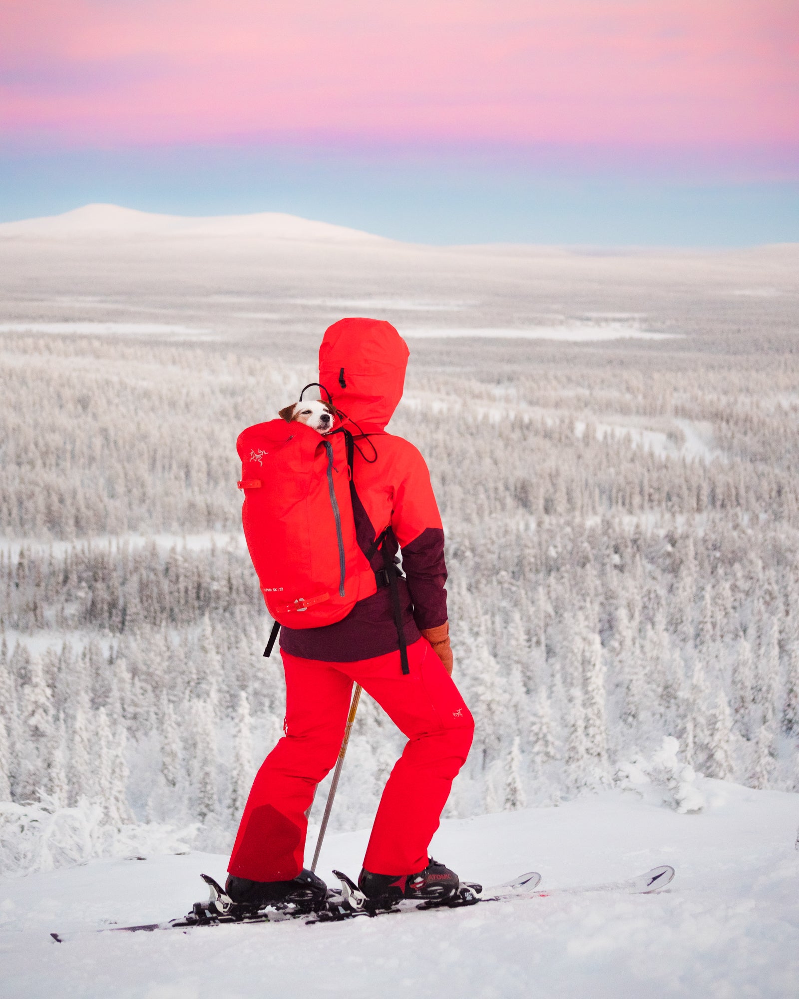 A person in a bright red snowsuit with a backpack stands on skis, looking out over a snowy forest under a pink and blue sunset sky.