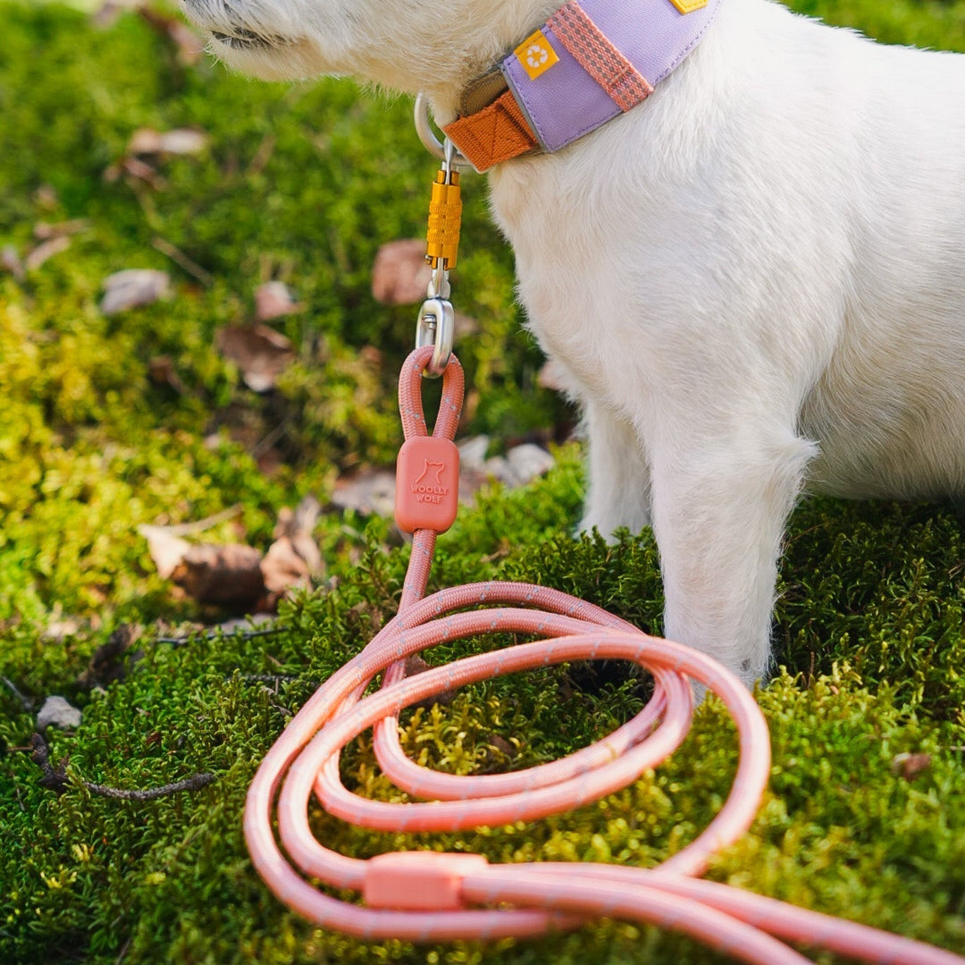 Alpha 360 Collar - Lavender MixS