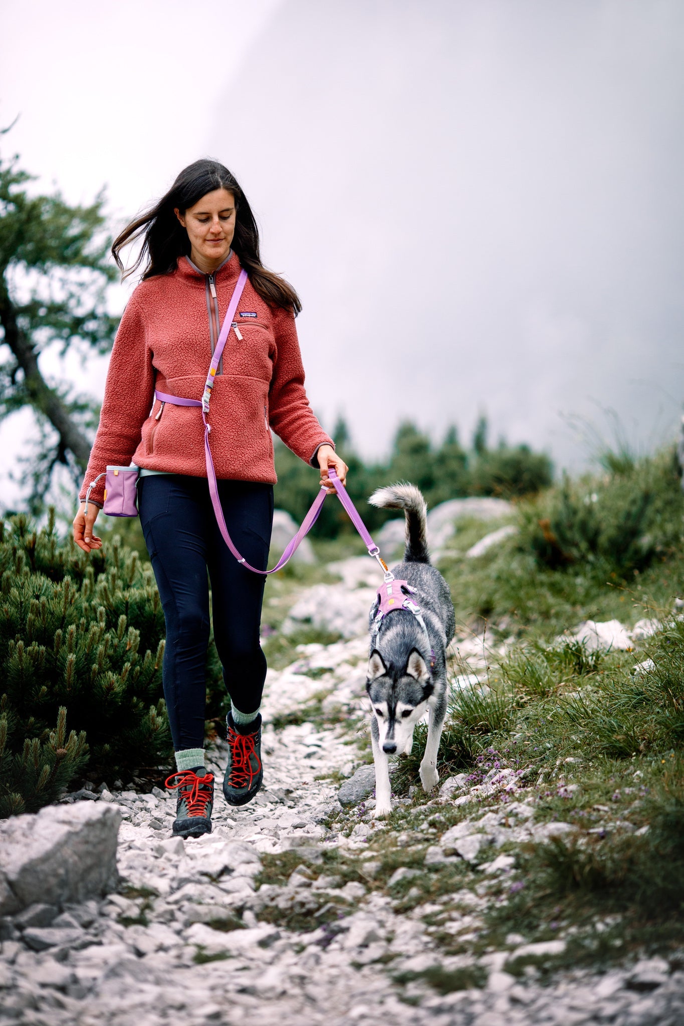 A woman walks a black-and-white dog on the Color Block Multi-Use Dog Leash Mauve Mix along a rocky trail lined with green shrubs and trees, misty mountains in the background.