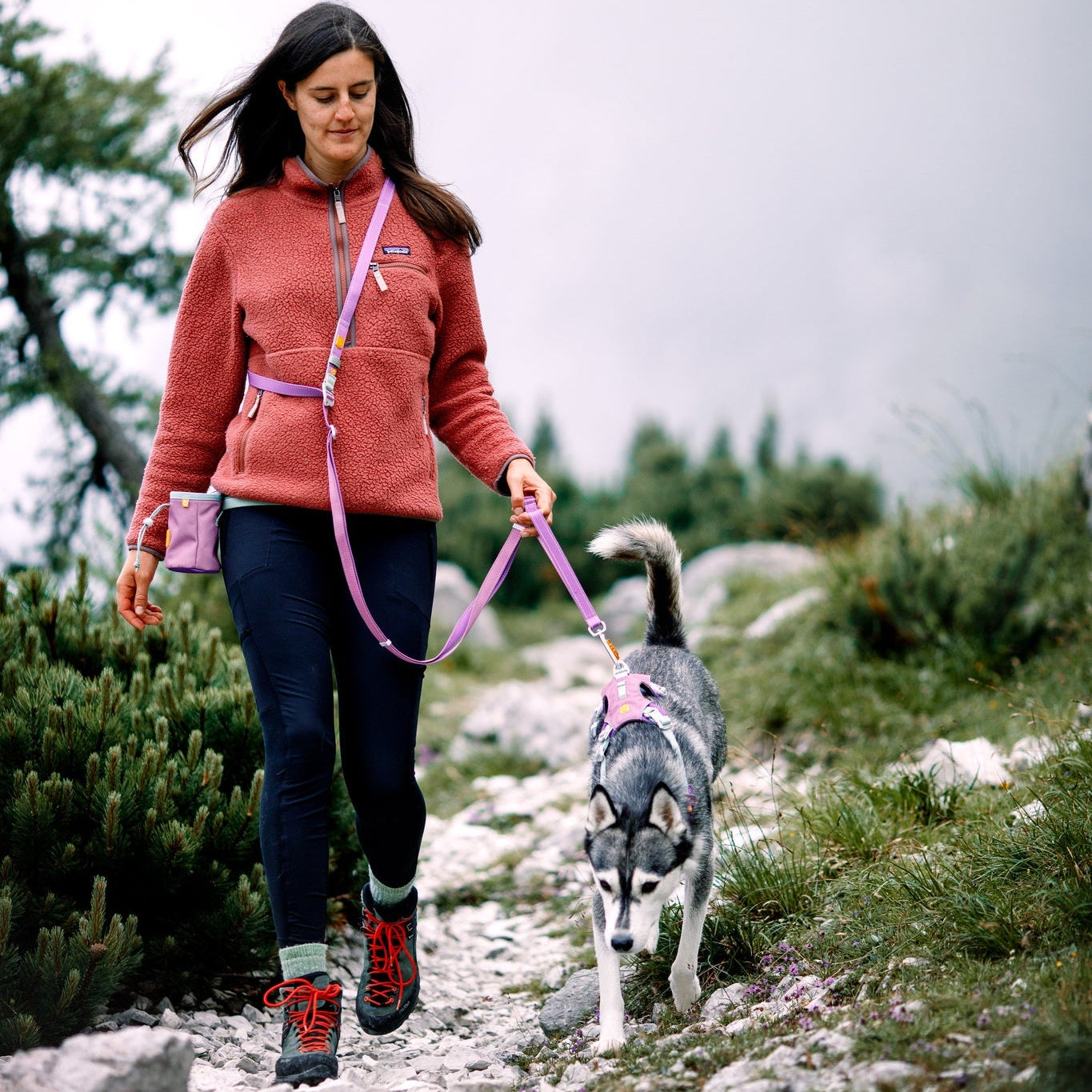 A woman walks a black-and-white dog on the Color Block Multi-Use Dog Leash Mauve Mix along a rocky trail lined with green shrubs and trees, misty mountains in the background.