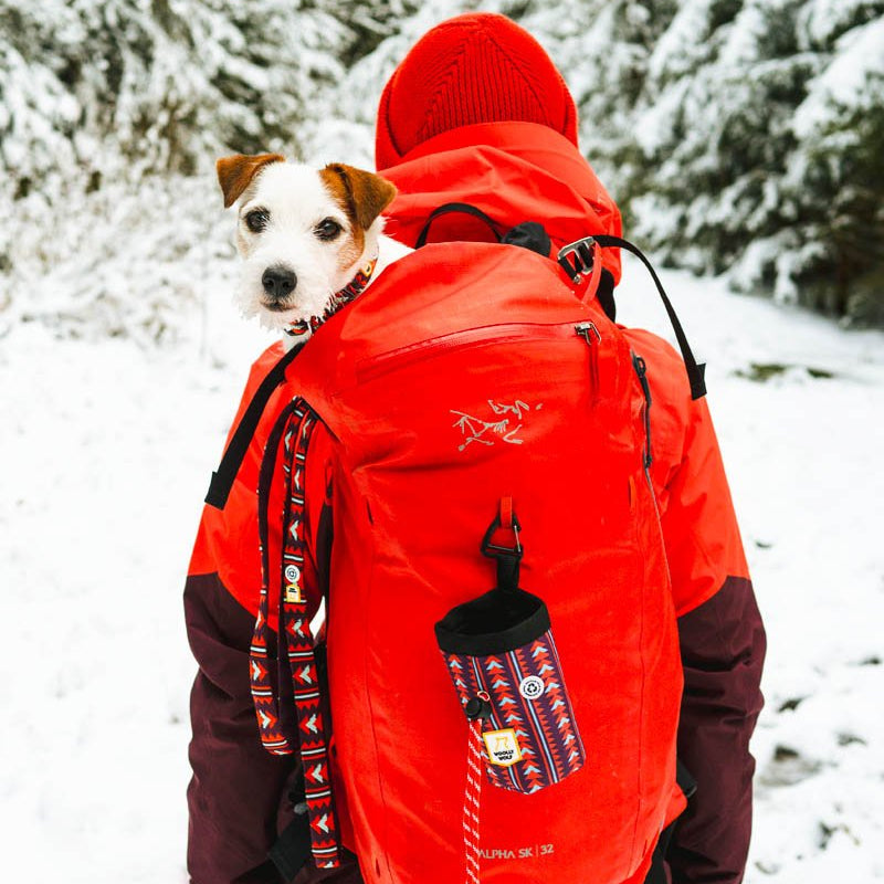 Polar Night Collar - S