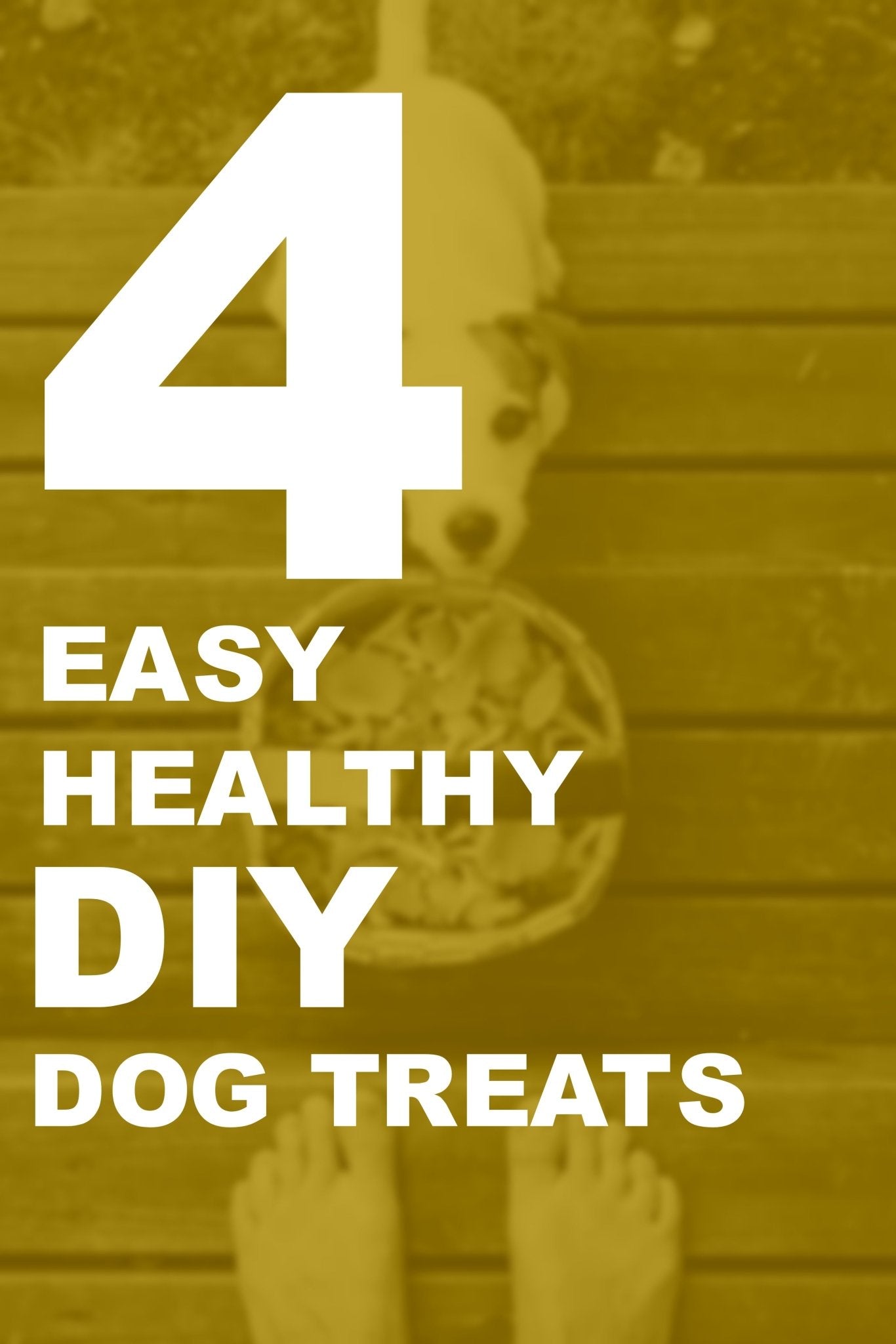 4 Easy Healthy DIY Dog Treats - Woolly Wolf