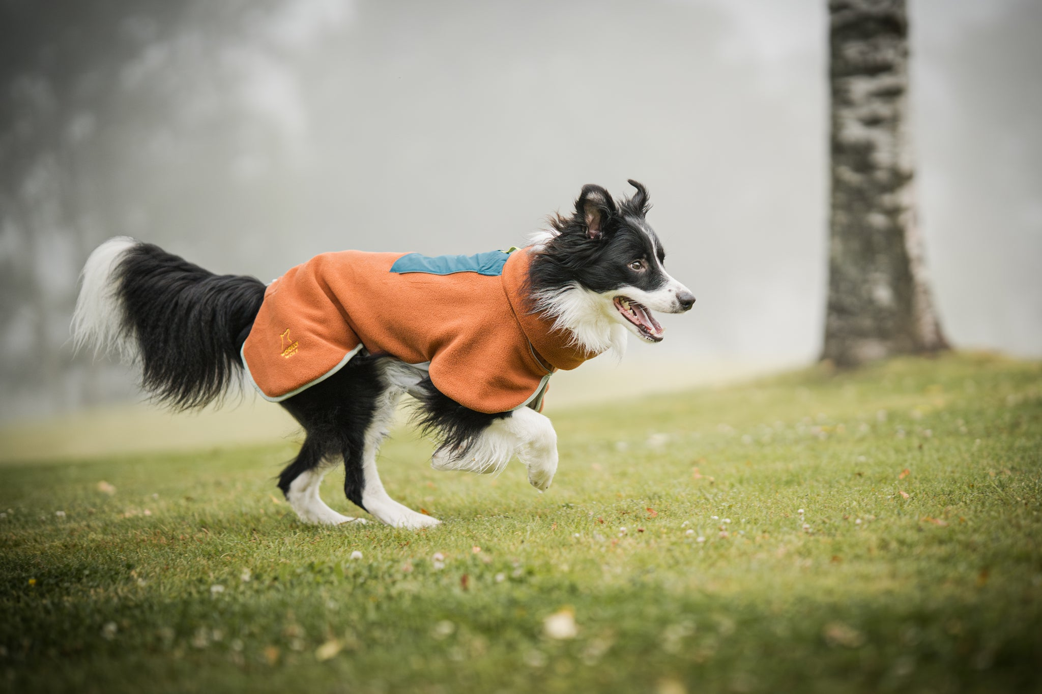 Hundebekleidung - Woolly Wolf