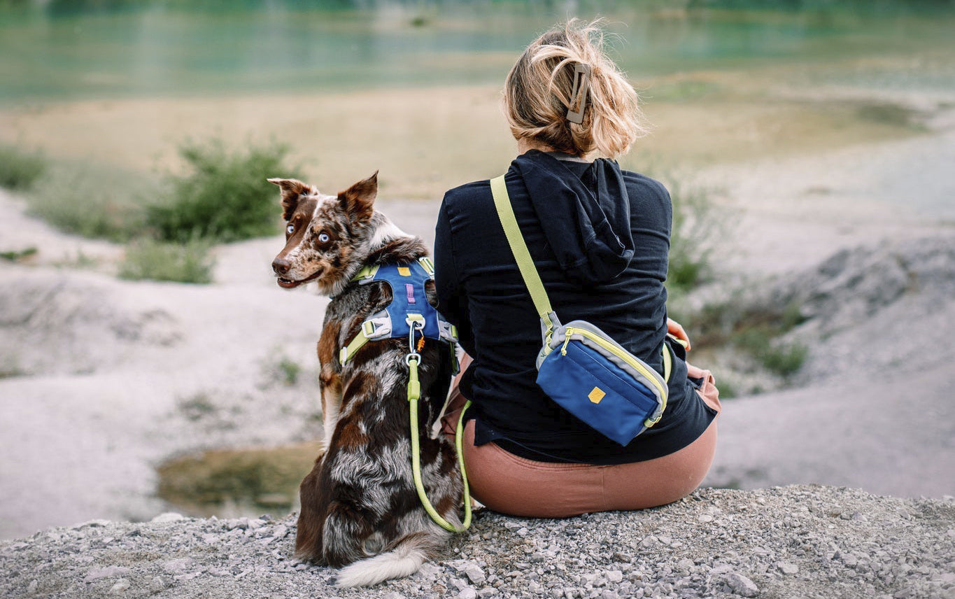A woman sits on a rock by turquoise water with a dog, surrounded by rocky cliffs and trees.