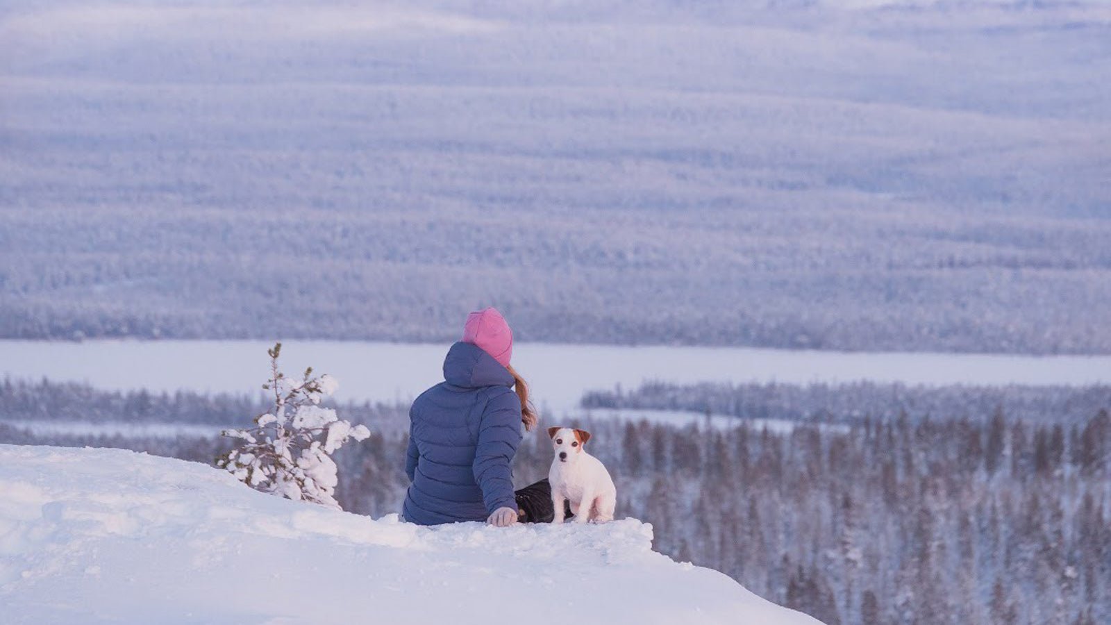 Polar Night - Woolly Wolf