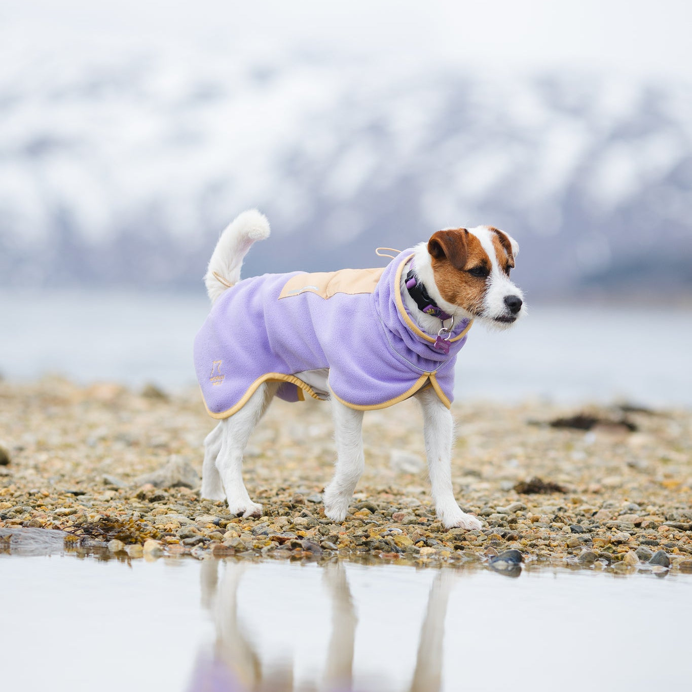 Alpha 360 Dog Fleece Pullover Lavender / Sand - Woolly Wolf