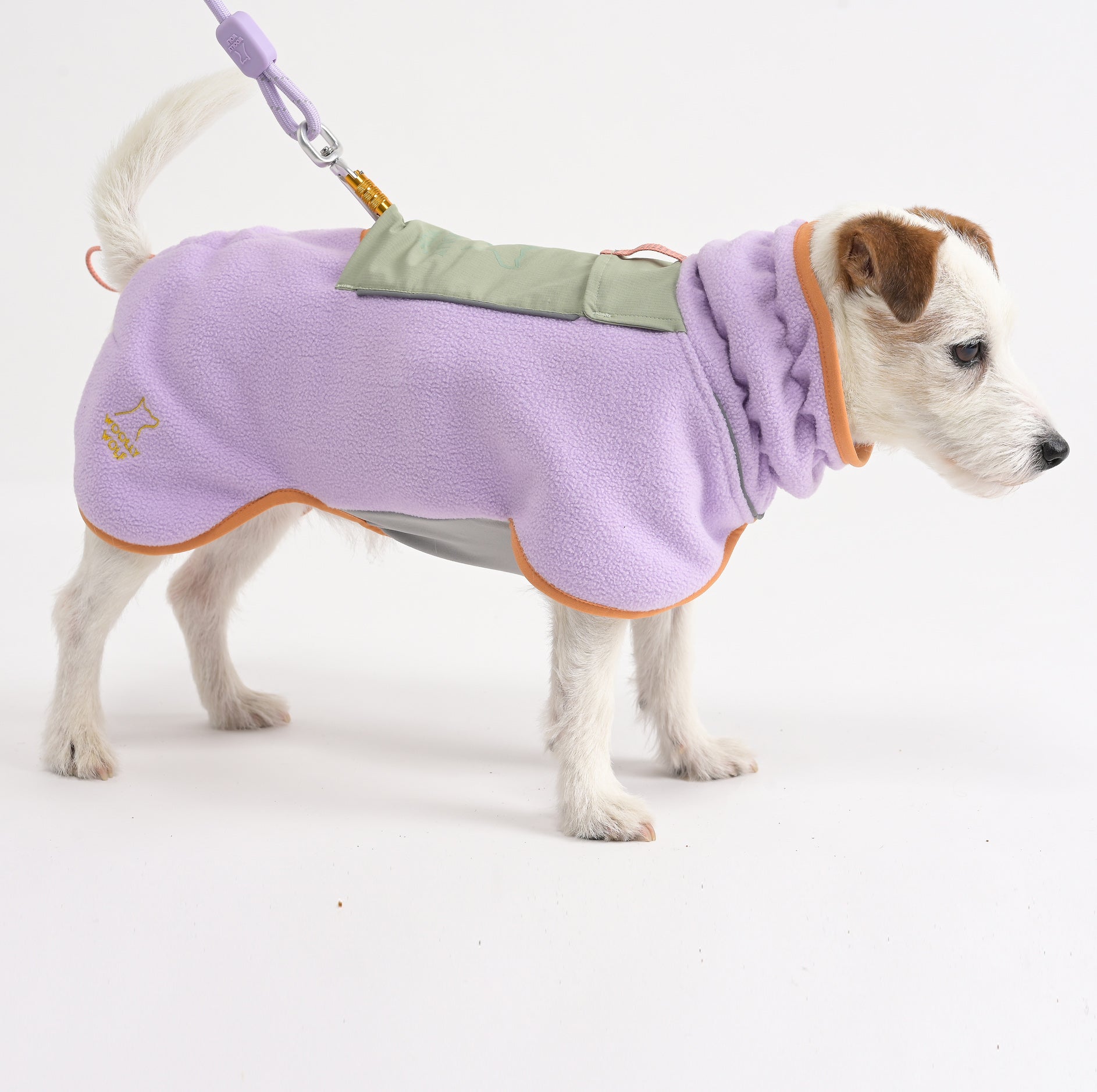 Small white dog wearing a light purple fleece jacket and leash, standing on a white background.