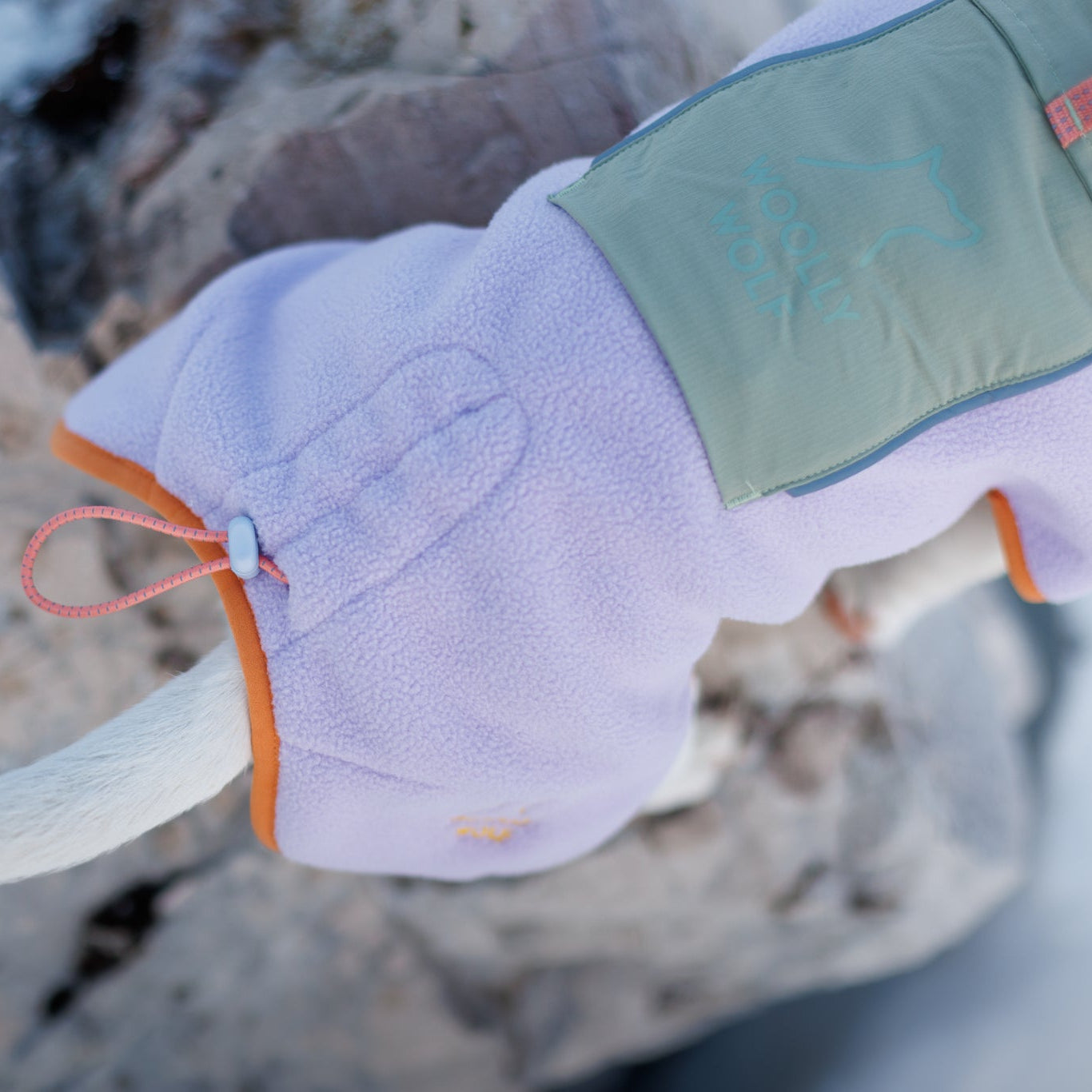 A close-up of a dogs tail sticking out from a light purple fleece jacket with orange trim and a green pocket, outdoors on a snowy, rocky surface.