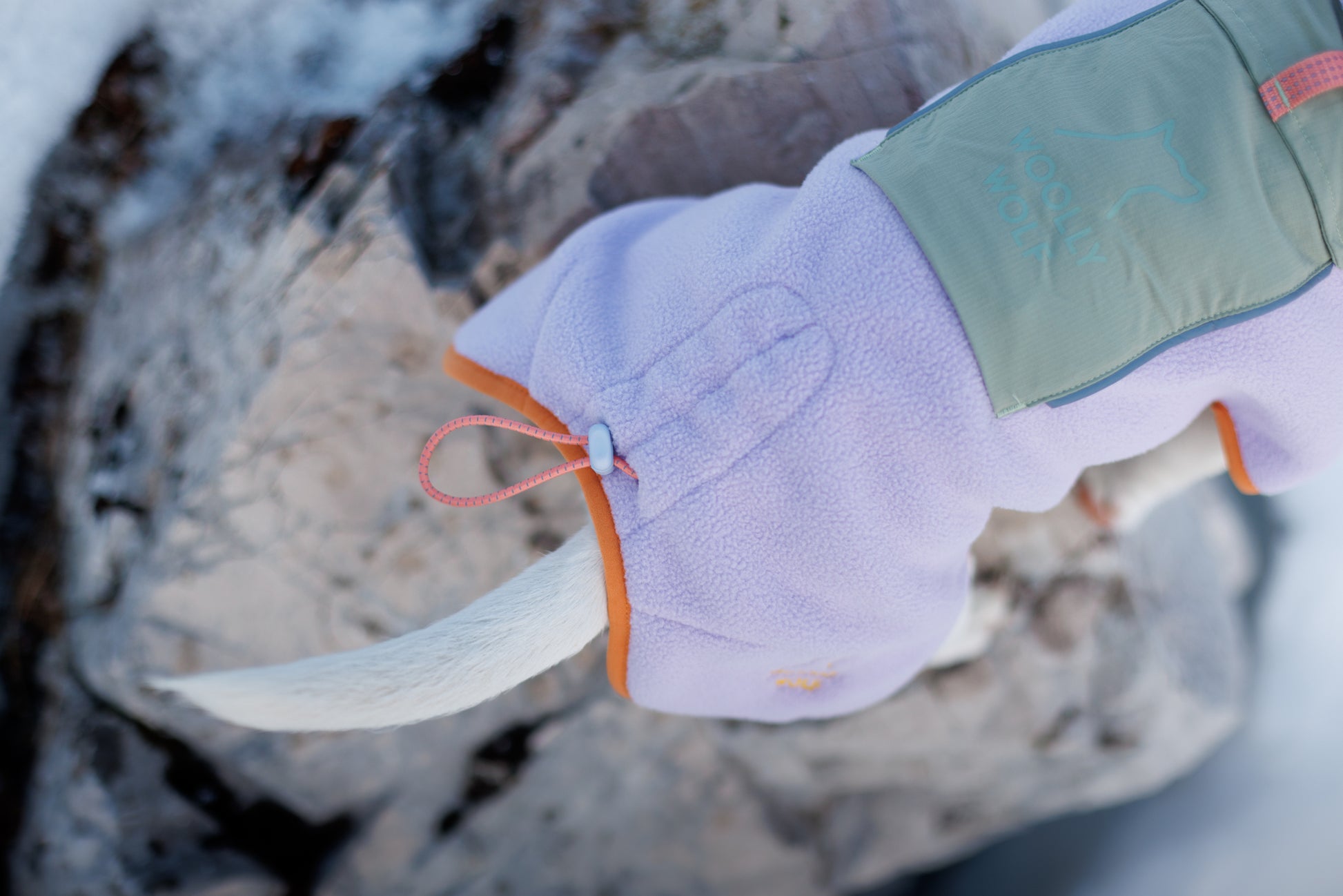 A close-up of a dogs tail sticking out from a light purple fleece jacket with orange trim and a green pocket, outdoors on a snowy, rocky surface.