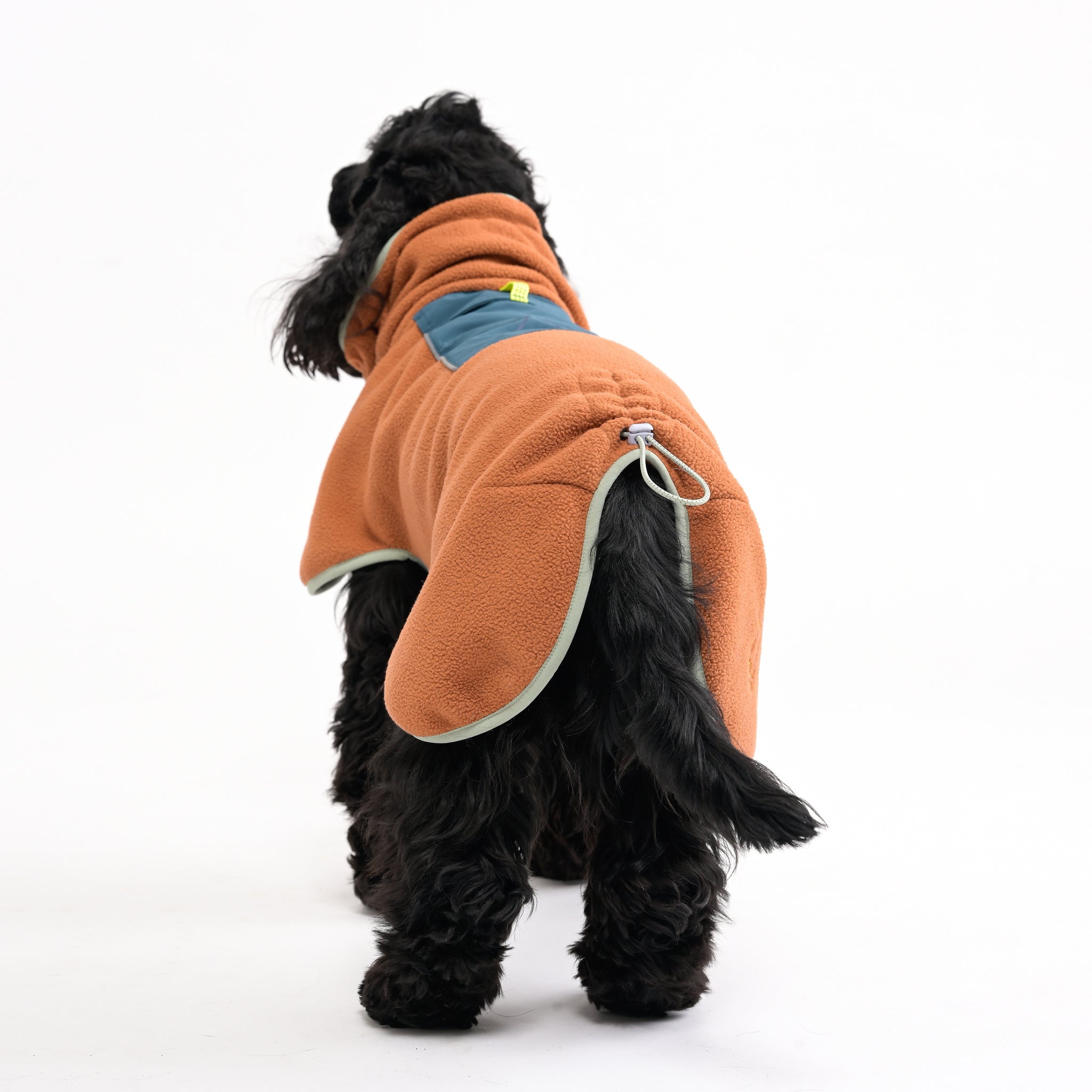 A black dog in an orange fleece jacket with a blue pocket, standing and facing away from the camera.