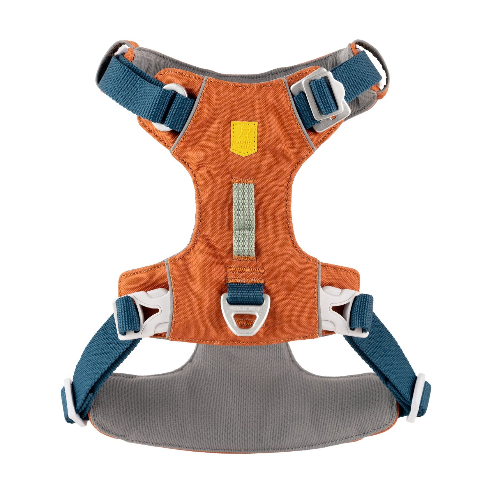 An orange and gray dog harness with blue adjustable straps, white buckles, and a metal D-ring for leash attachment, shown laid flat on a white background.