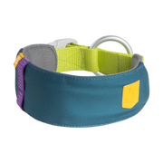 Blue and green dog collar with a silver ring, purple accent, and yellow patch on a white background.