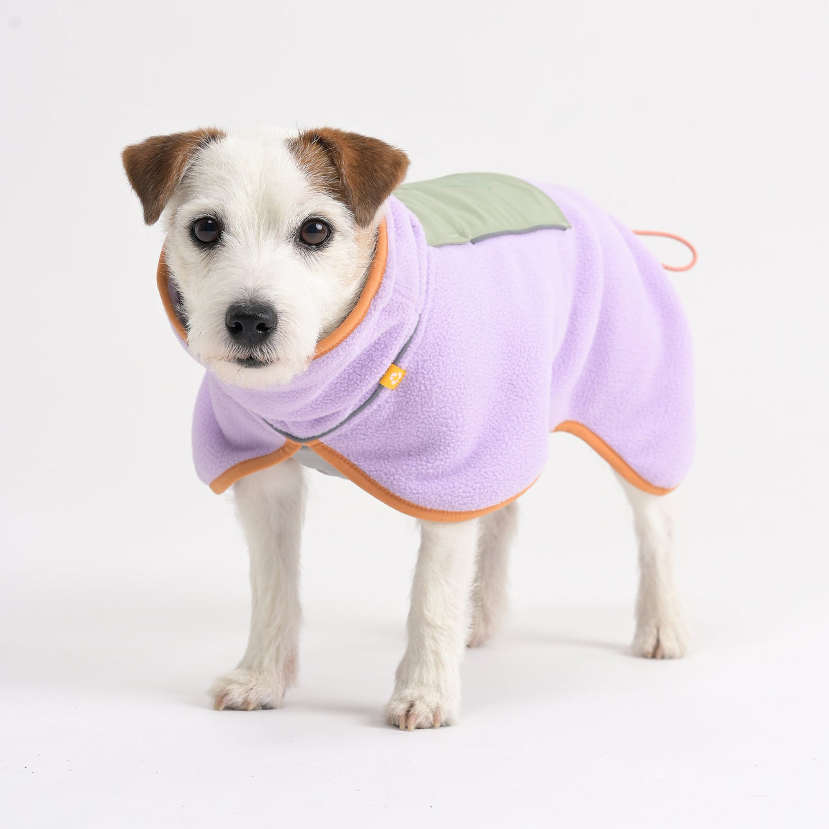 360 Pull Over Small white dog wearing a light purple fleece jacket with orange trim ...