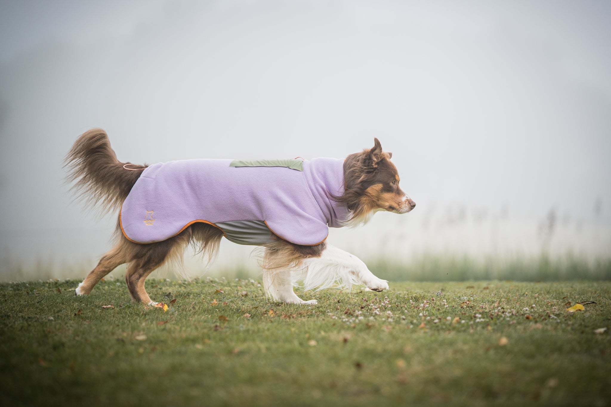 Alpha 360 Fleece Pullover Lavender Mix - Woolly Wolf