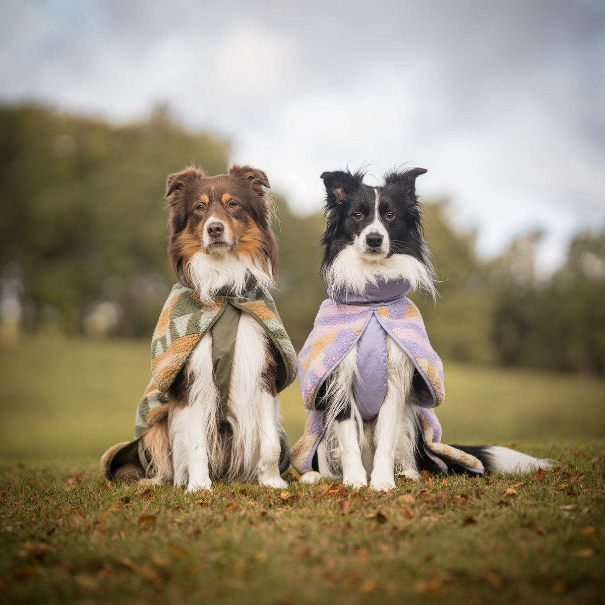 Two dogs wearing blankets sit on grass outdoors, with trees and cloudy sky in the background.