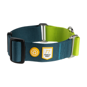 Blue and green adjustable dog collar with Woolly Wolf logo and recycled material badge on white background.