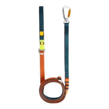 A teal and orange dog leash with a metal carabiner clasp, laid out flat on a white background.