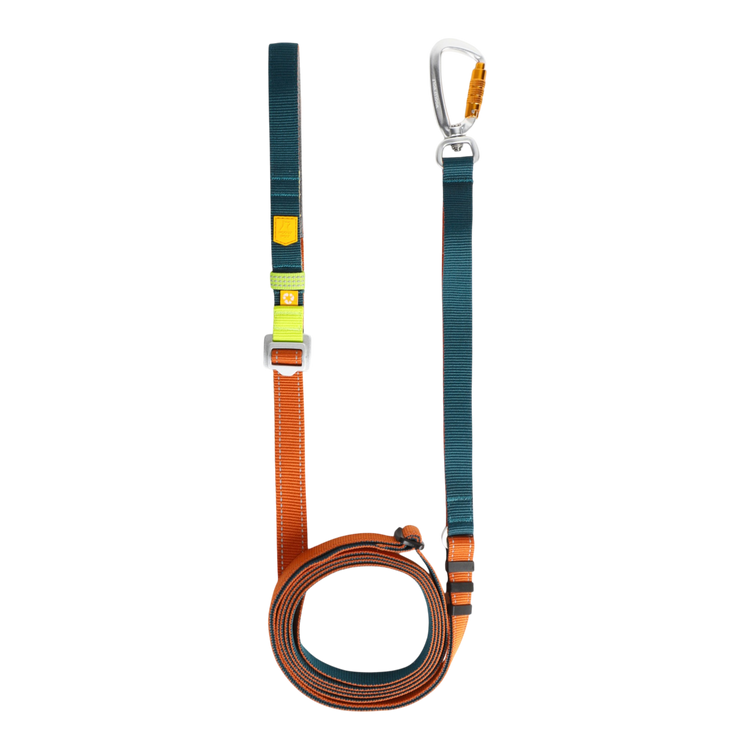 A teal and orange dog leash with a metal carabiner clasp, laid out flat on a white background.