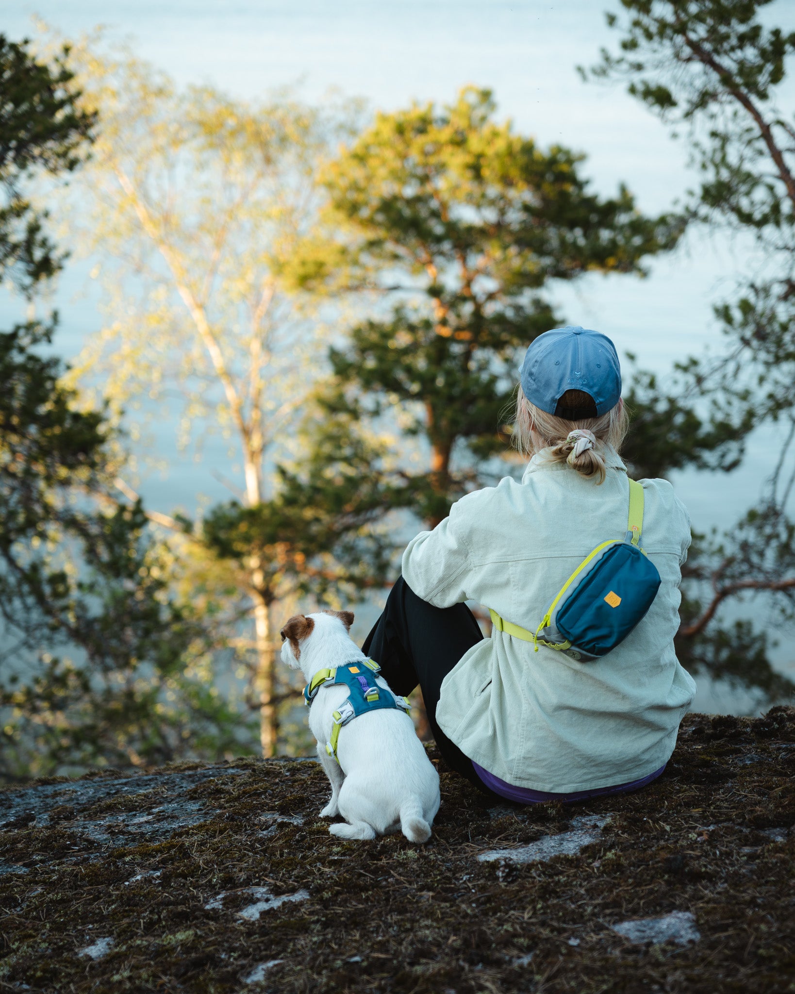 Person with a blue cap and small dog sitting on a hilltop, overlooking trees and a body of water.