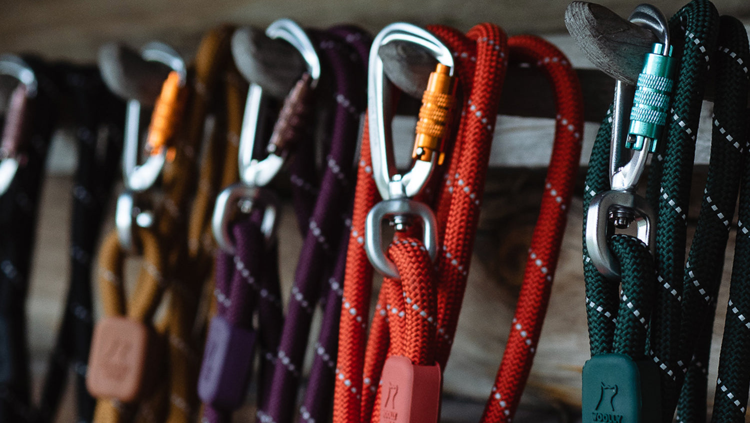 Several colorful climbing ropes with metal carabiners are hanging on wooden hooks. Each rope features a different color and pattern, and the carabiners are clipped to the hooks for storage.