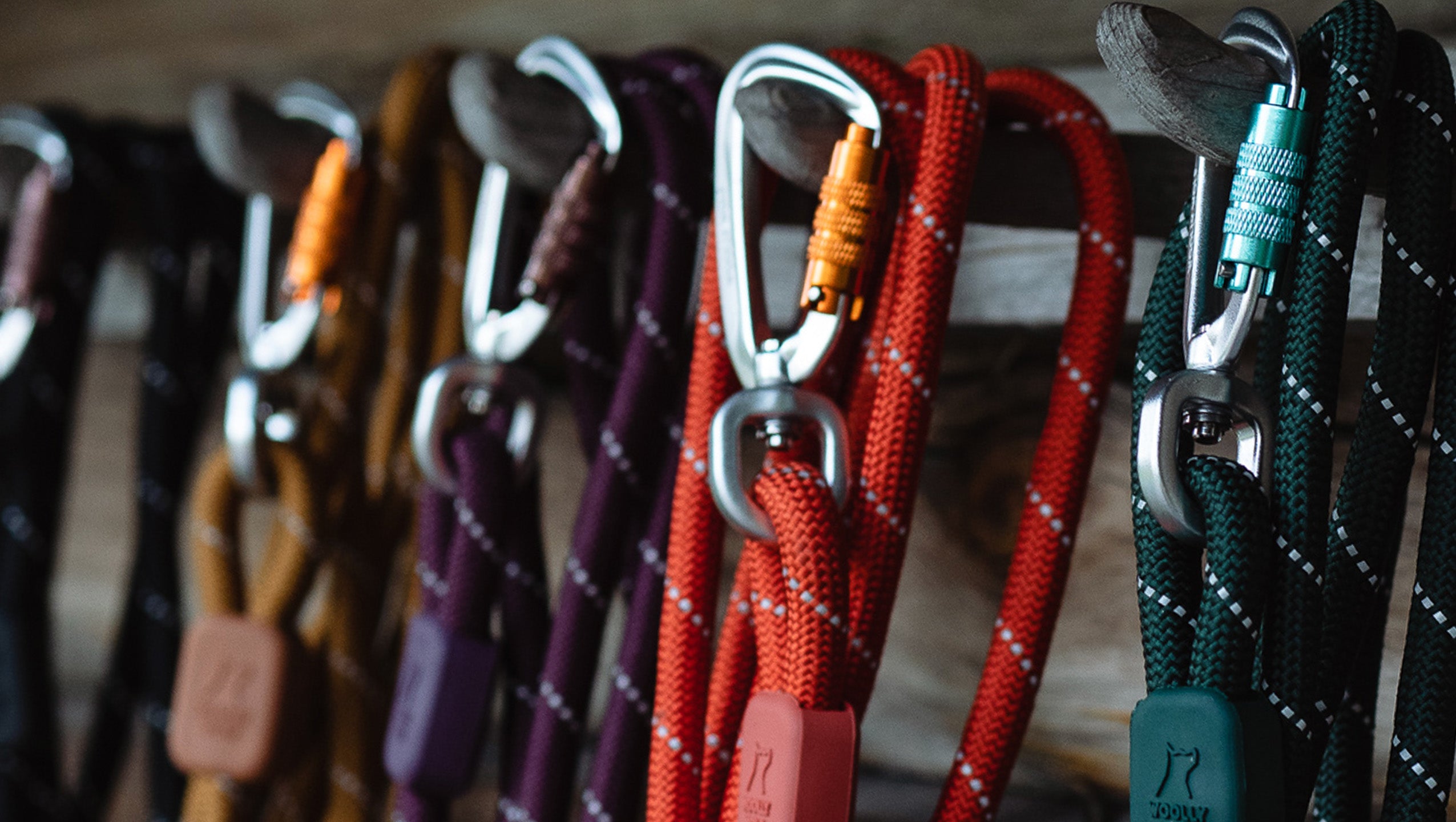 Several colorful climbing ropes with metal carabiners are hanging on wooden hooks. Each rope features a different color and pattern, and the carabiners are clipped to the hooks for storage.