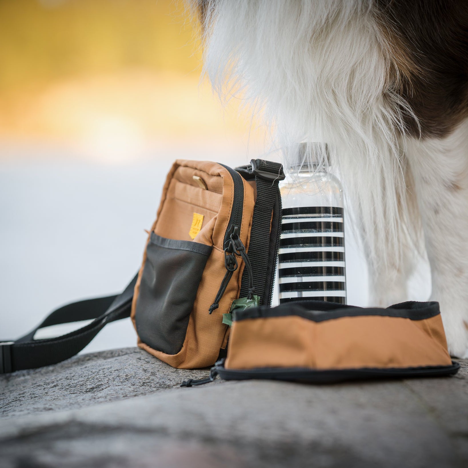 A brown dog bag, water bottle, and collapsible bowl beside a dog on a rock outdoors.