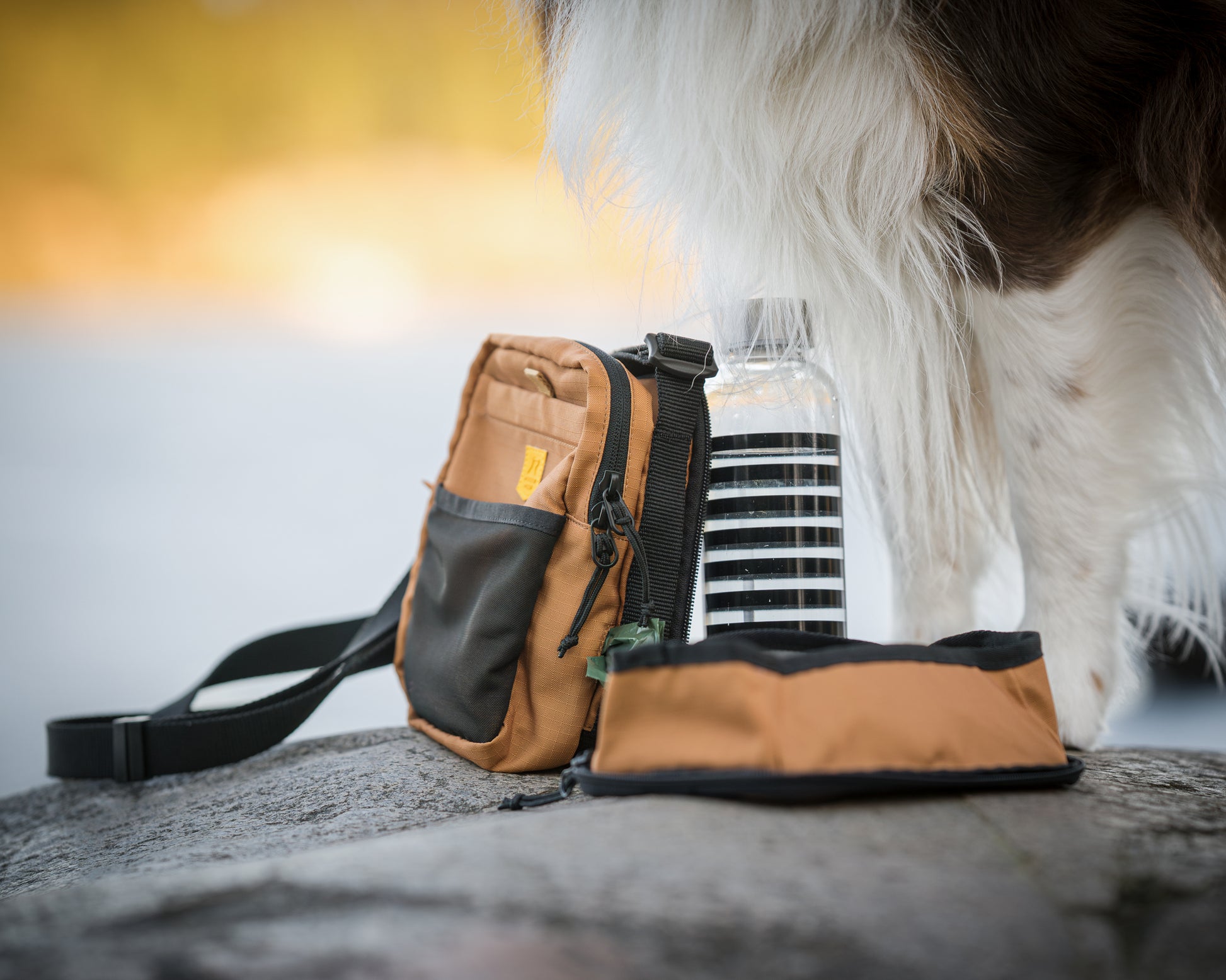 A brown dog bag, water bottle, and collapsible bowl beside a dog on a rock outdoors.