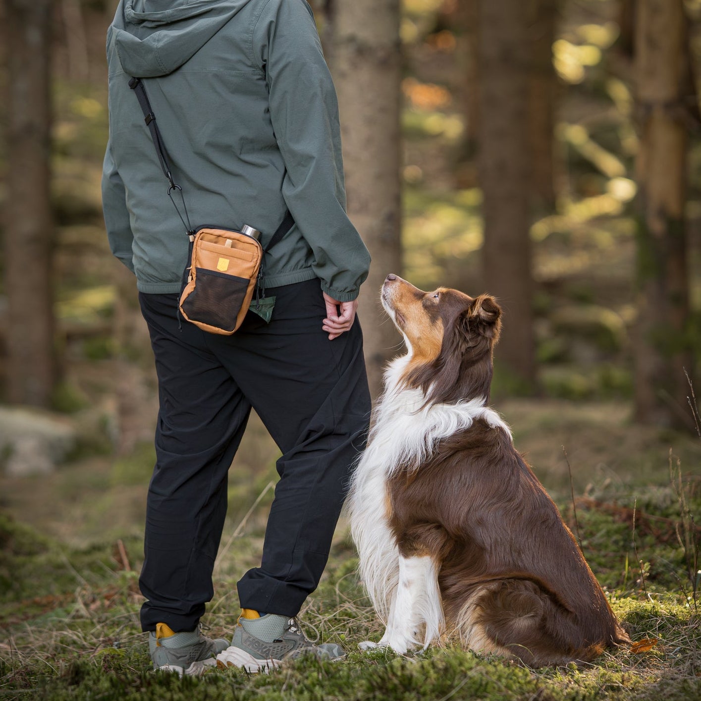 Person with a backpack stands in a forest, looking at a brown and white dog sitting and gazing up at them.
