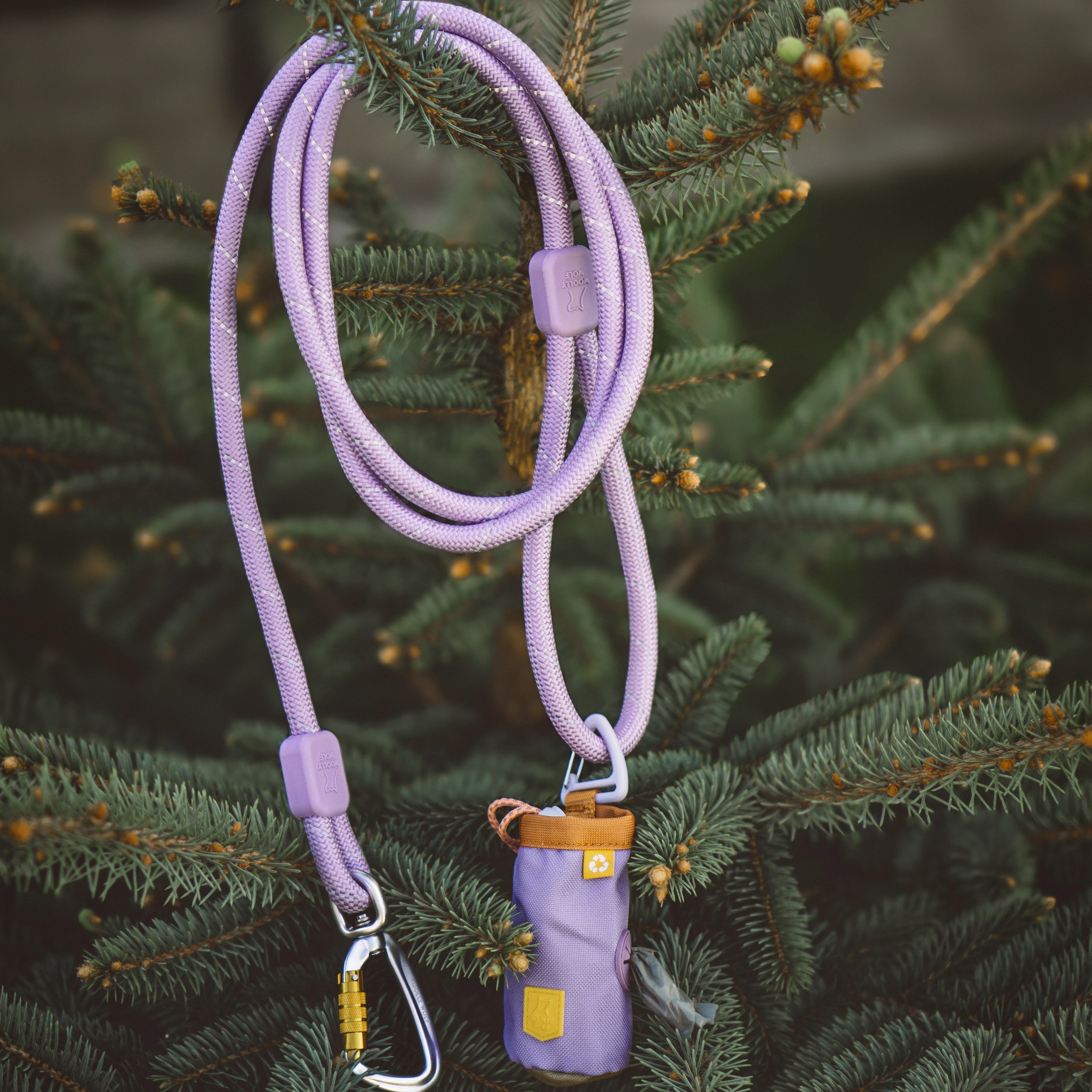 Dog Poop Bag Holder with Glacier Green Reflective Cord & Clip