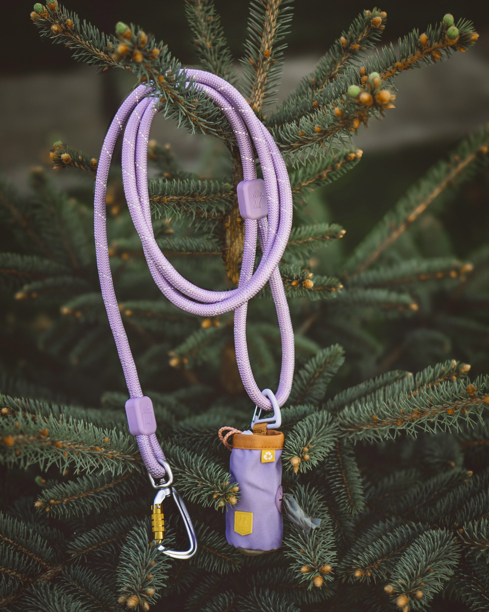 A purple rope leash with a pouch and carabiner hanging on a green pine tree branch.