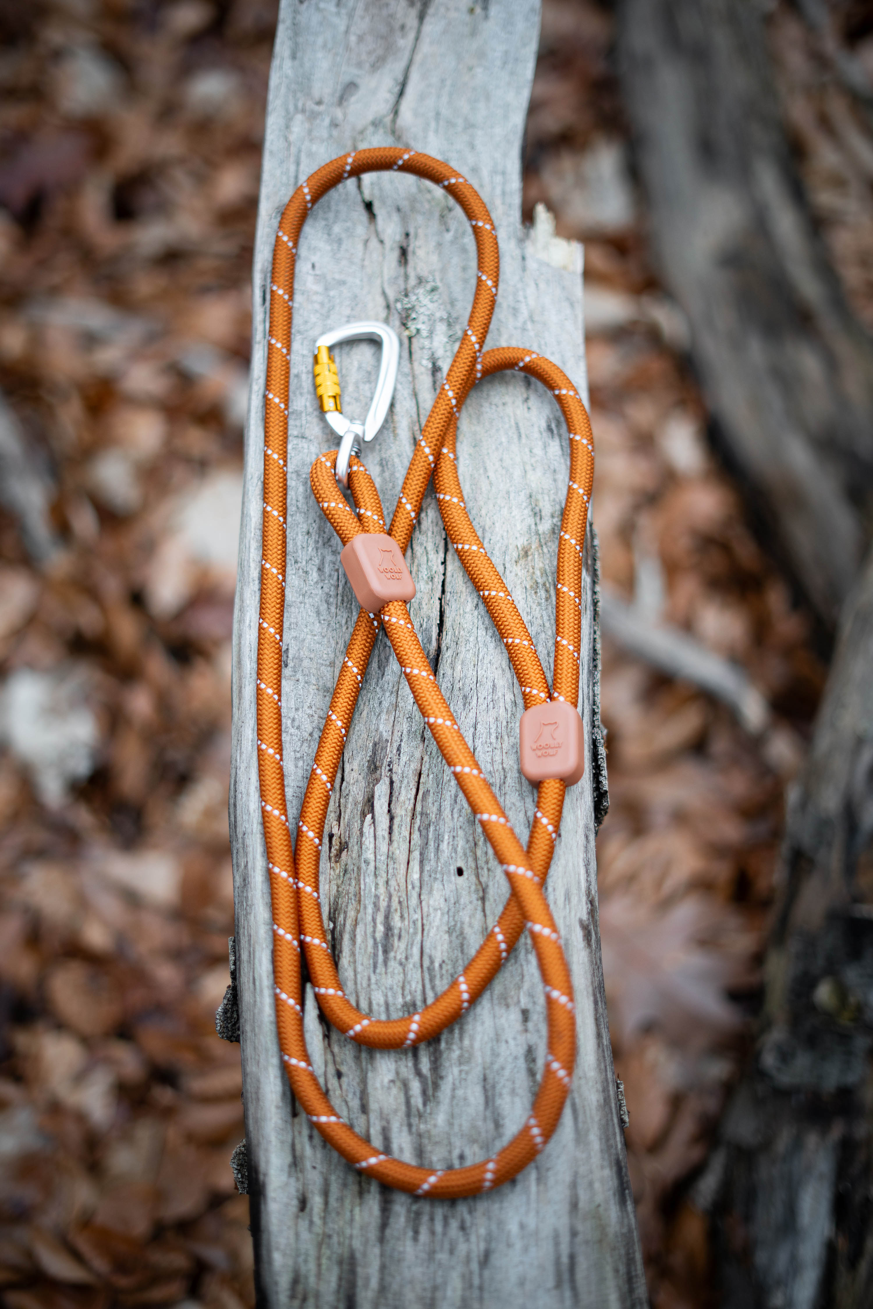 An orange rope dog leash with a carabiner clip lies coiled on a weathered log outdoors.