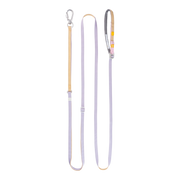 A light purple and tan dog leash with a metal clip and an adjustable handle, shown on a white background.