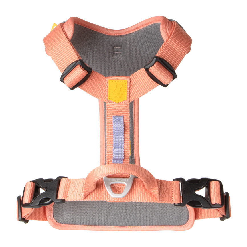 Roam Harness Salmon Pink