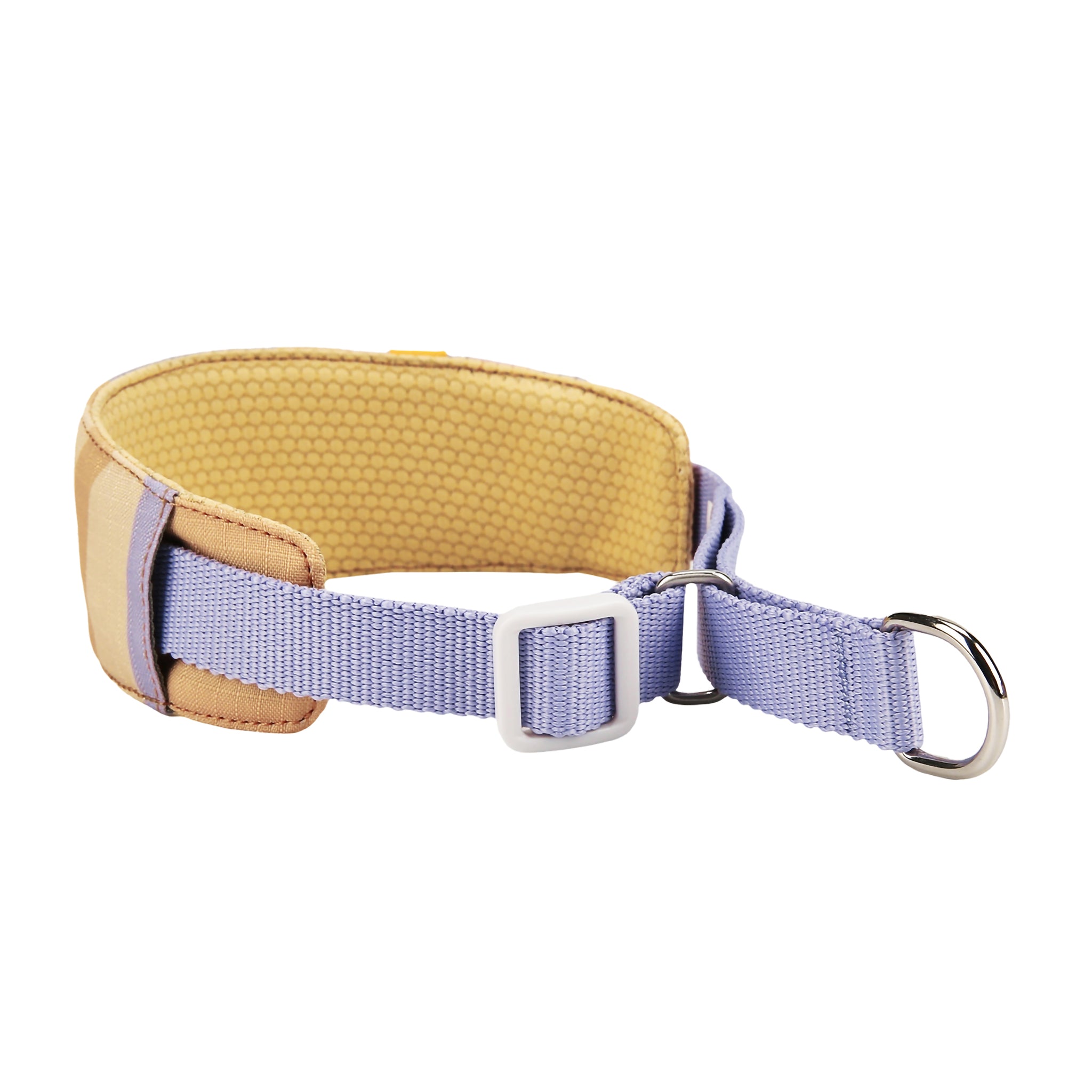 Purple and tan fabric dog collar with a metal D-ring and adjustable buckle, on a white background.