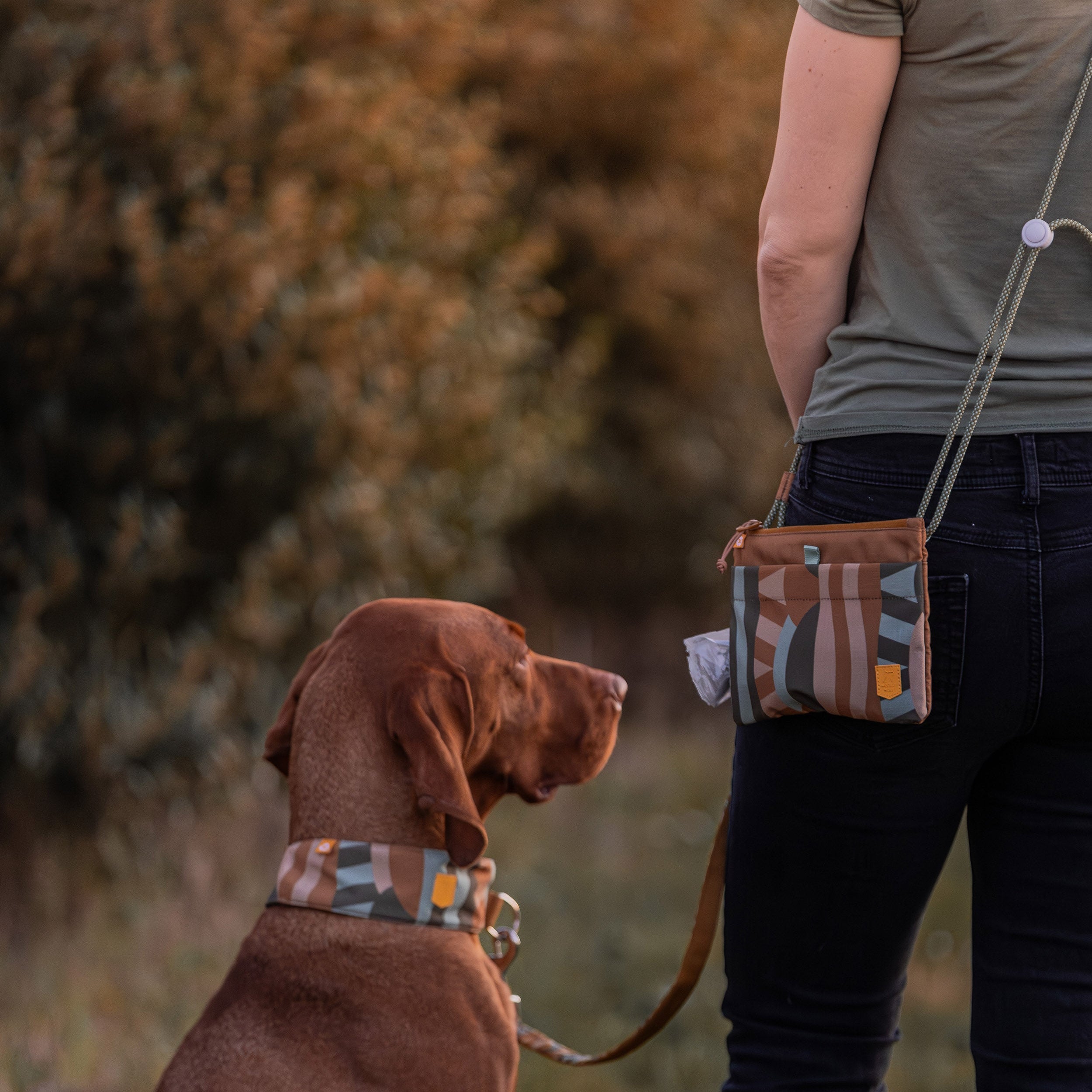 Cloudbeam Accessory Bag - Woolly Wolf