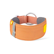 Alpha 360 Collar Golden Hour Mix - S