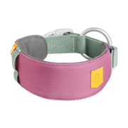 Wide pink and green dog collar with a metal ring, plastic buckle, and a small yellow patch on the side.