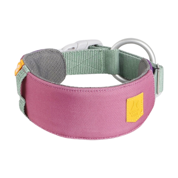 Wide pink and green dog collar with a metal ring, plastic buckle, and a small yellow patch on the side.