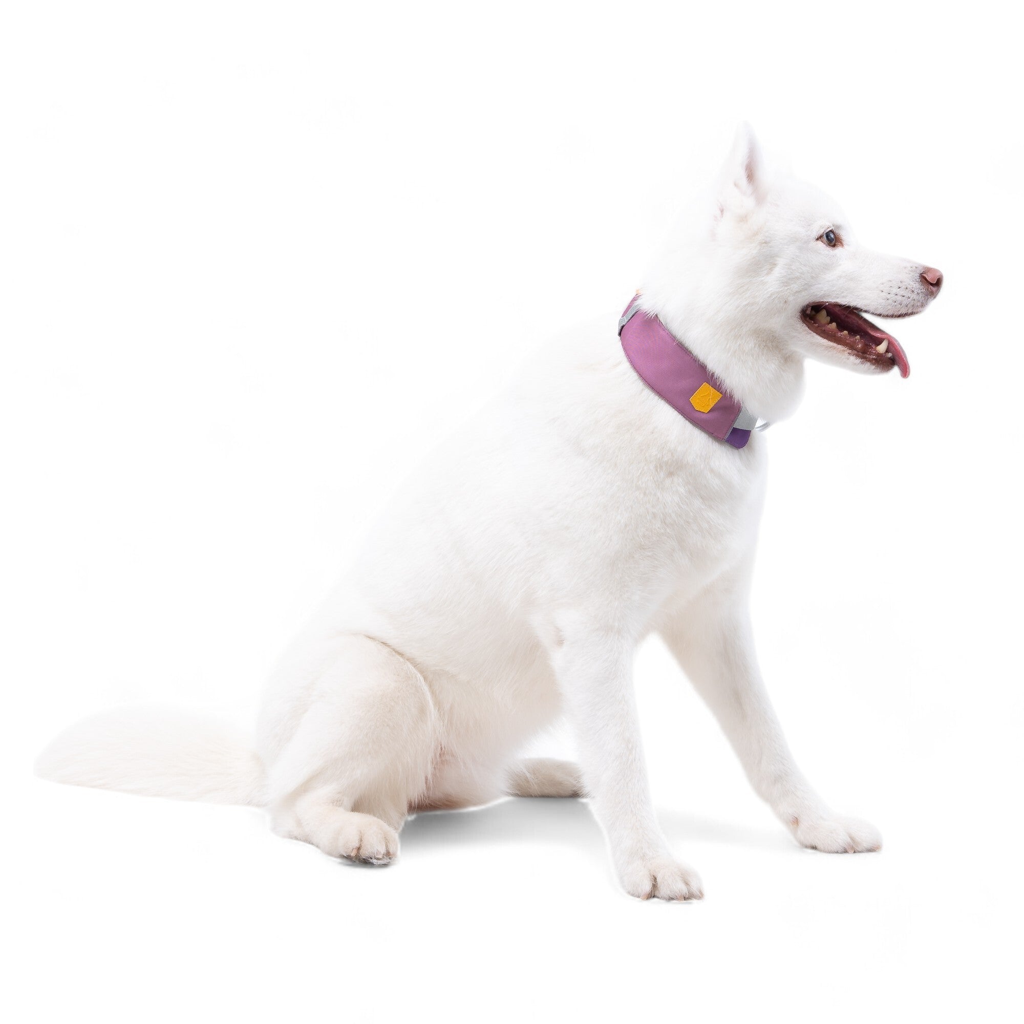 Alpha 360 Dog Collar Mauve: Safe and Sustainable Choice - Woolly Wolf