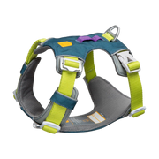 A teal and gray dog harness with bright yellow straps and white buckles, shown on a plain background.