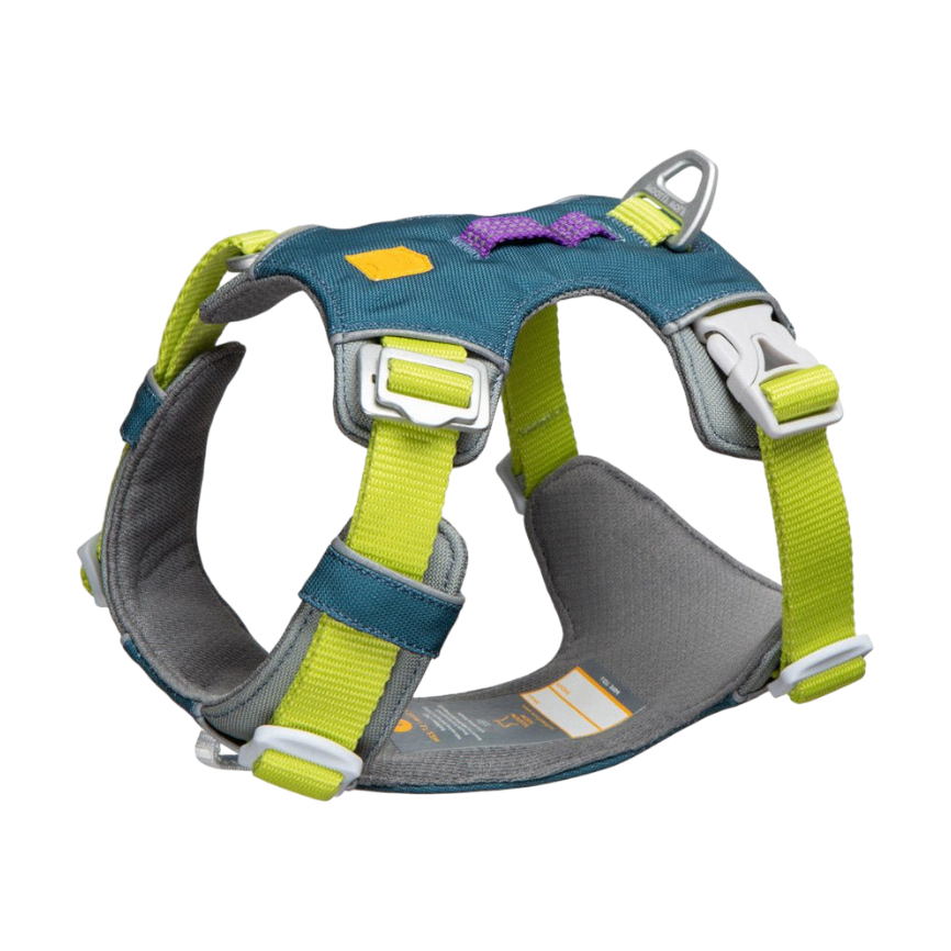A teal and gray dog harness with bright yellow straps and white buckles, shown on a plain background.