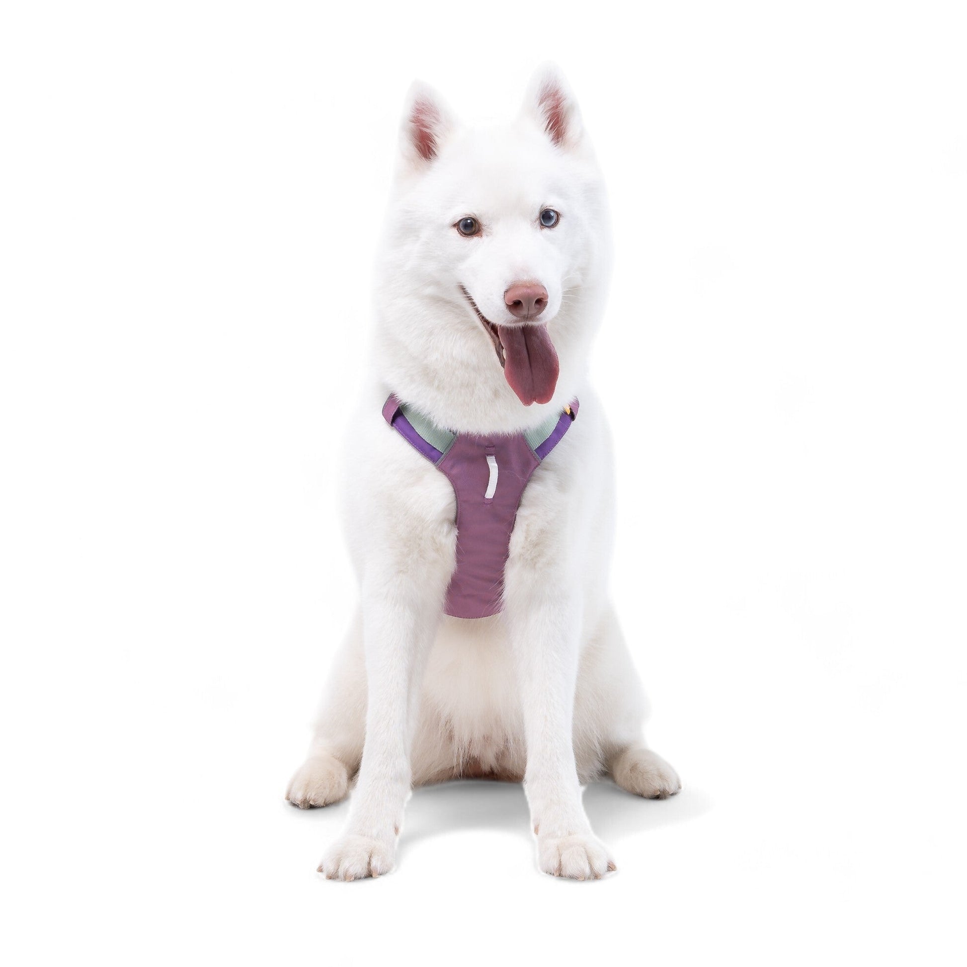 Alpha 360 Harness Mauve Mix - XS