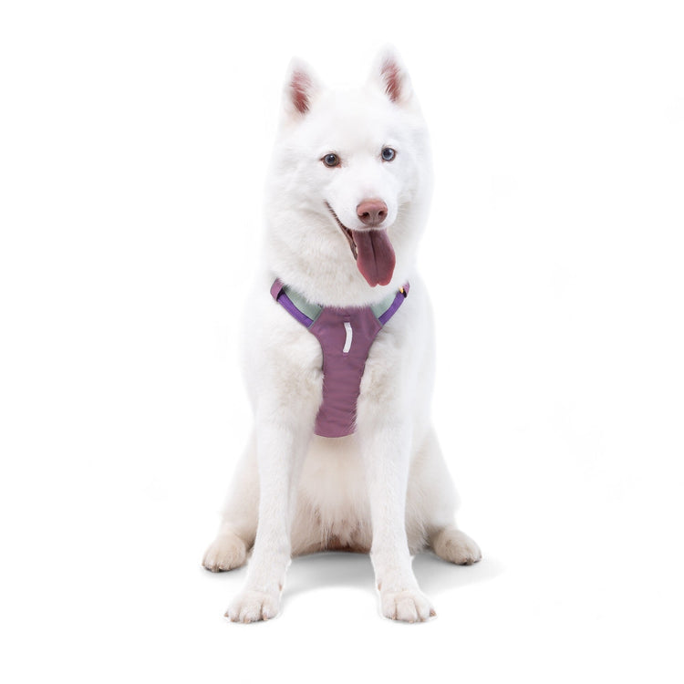 Alpha 360 Harness Mauve Mix - XS