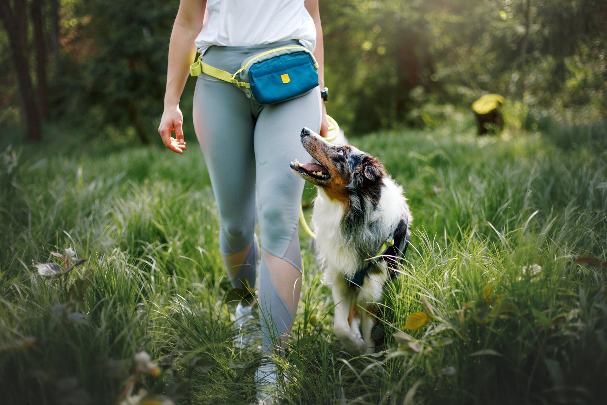 Blue Hip Pack for Daily Walks with Your Dog in Style Woolly Wolf