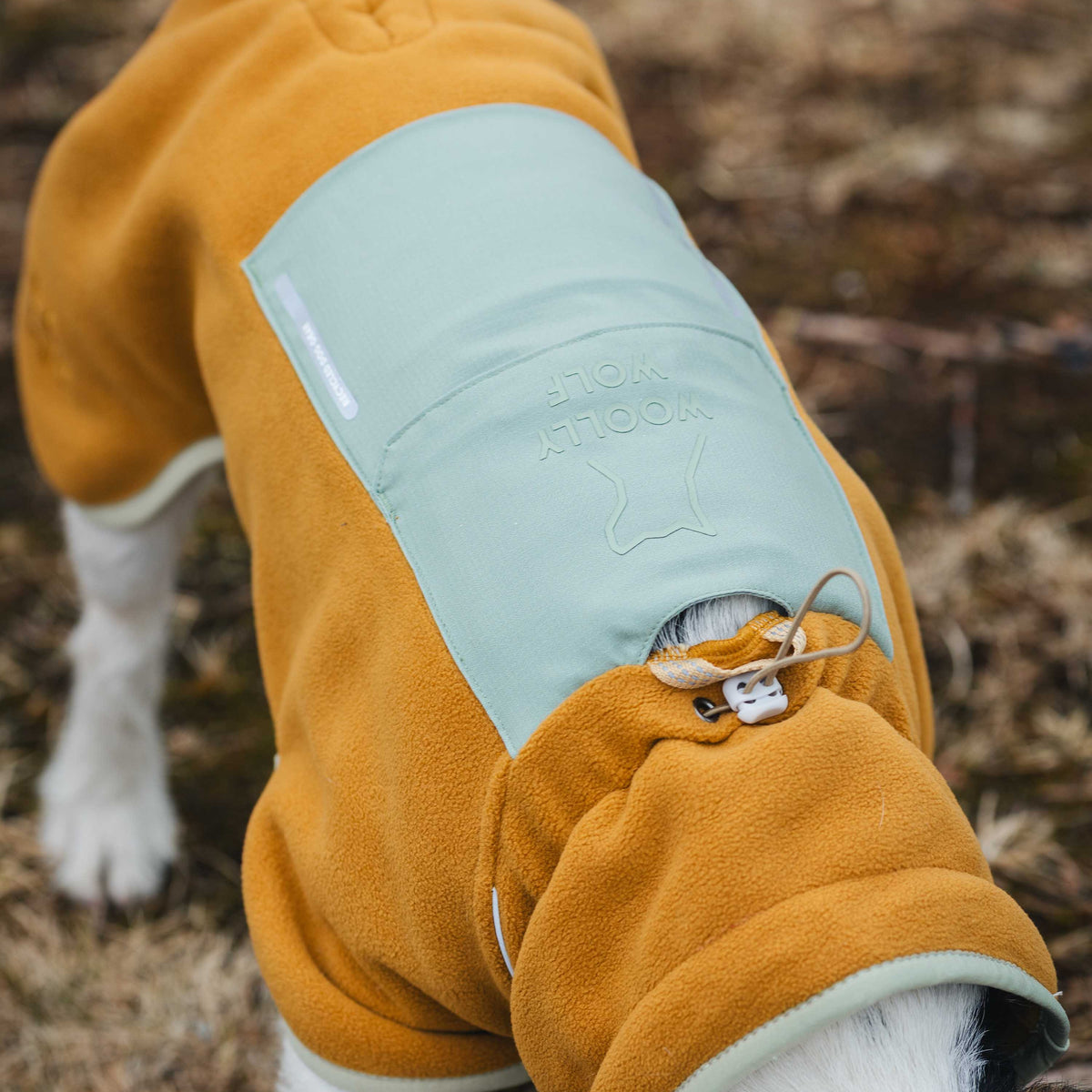 Dog wearing a mustard yellow fleece sweater with a light green back panel featuring the Woolly Wolf logo.