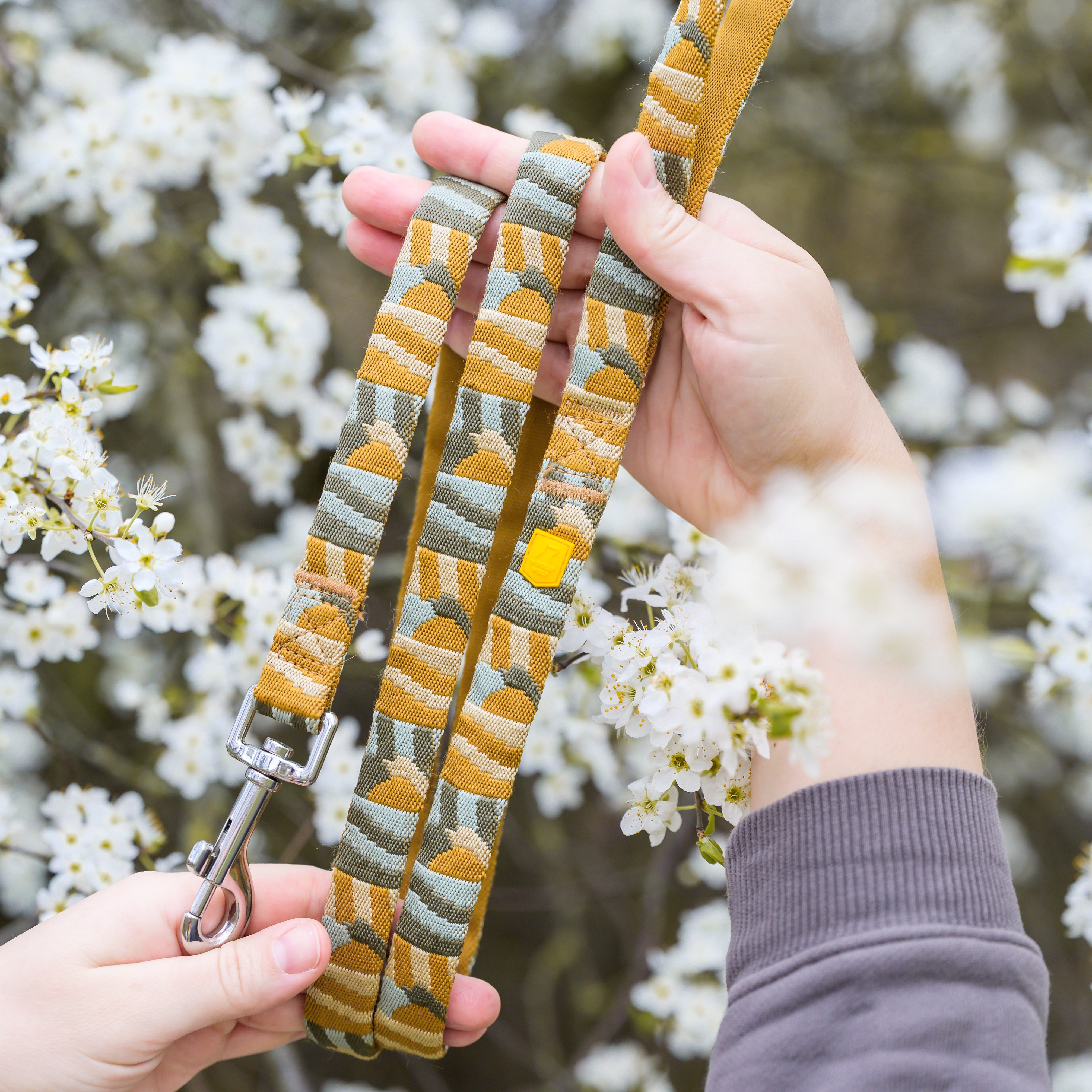 Hands holding a patterned dog leash among white blossoming flowers outdoors.