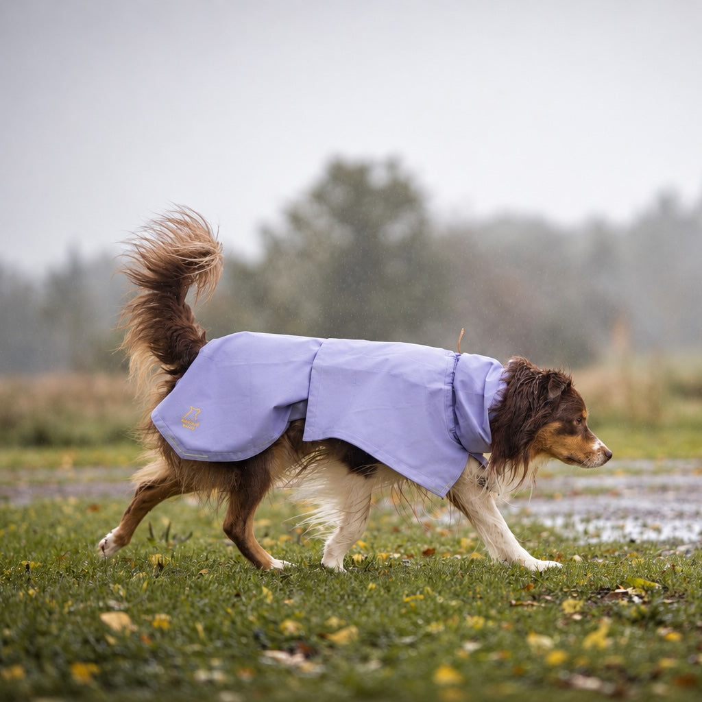 Woolly Wolf